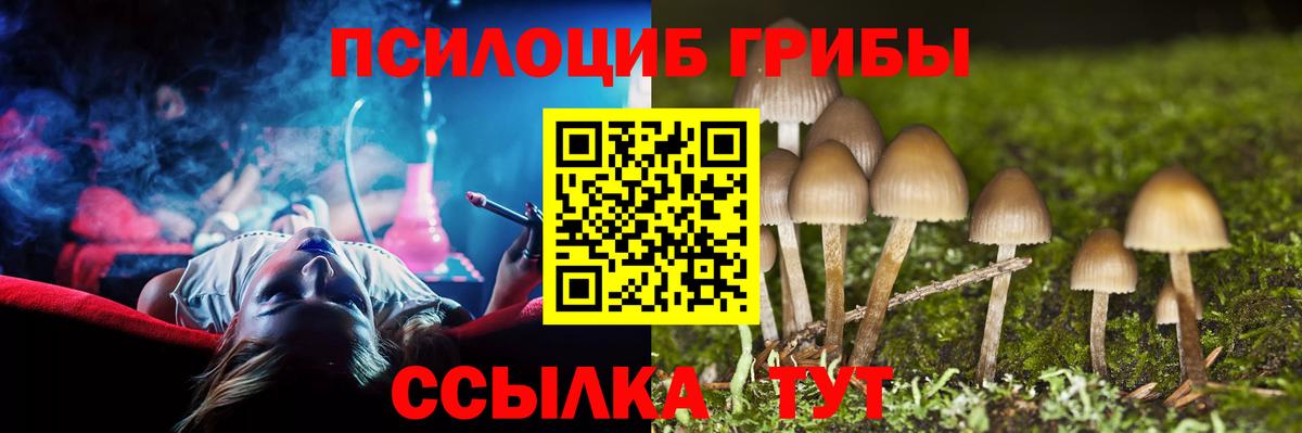 Псилоцибиновые грибы GOLDEN TEACHER  Вход с VPN  Ставрополь  Псилоцибиновые грибы GOLDEN TEACHER 