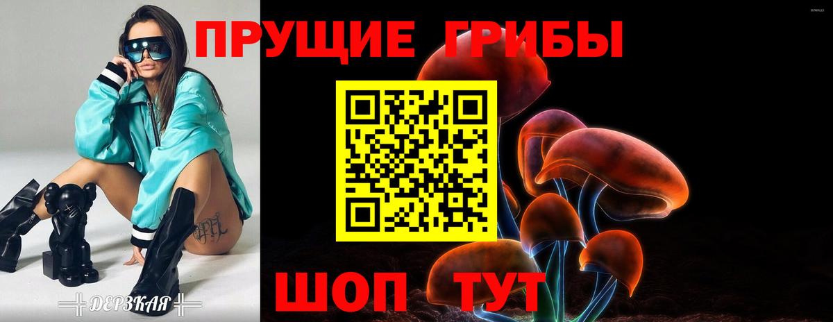 Псилоцибиновые грибы GOLDEN TEACHER Ставрополь