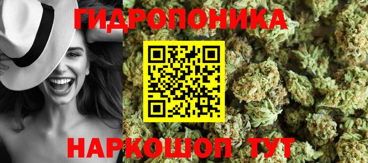Ставрополь  Конопля OG Kush  Марихуана семена  Вход с VPN 