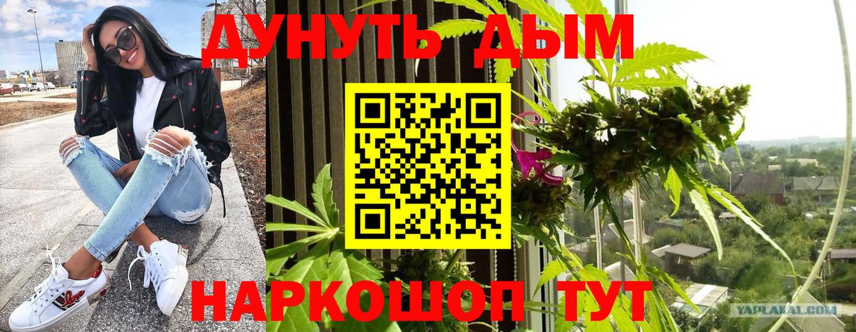 Бошки Шишки MAZAR Ставрополь